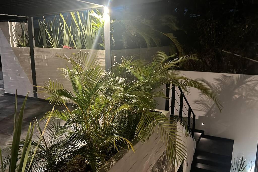 Residencia Corinto La Cima Frac Burgos Bugambilias Villa เตมิกซ์โก ภายนอก รูปภาพ